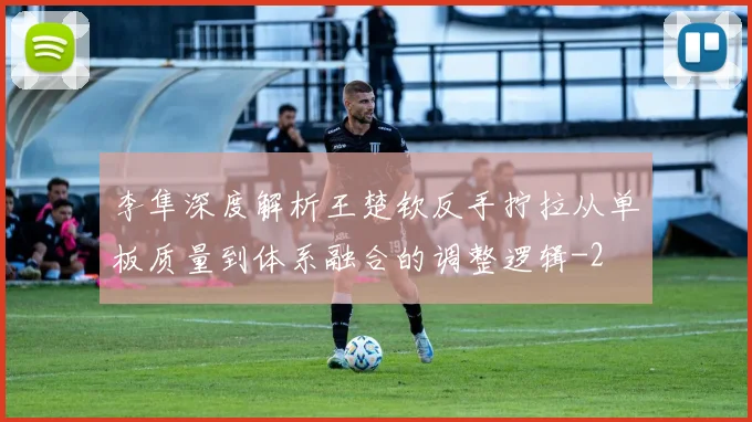李隼深度解析王楚钦反手拧拉从单板质量到体系融合的调整逻辑