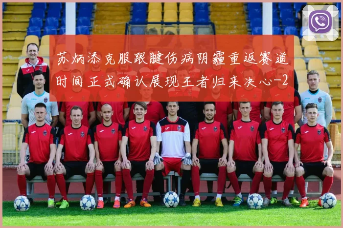 苏炳添克服跟腱伤病阴霾重返赛道时间正式确认展现王者归来决心